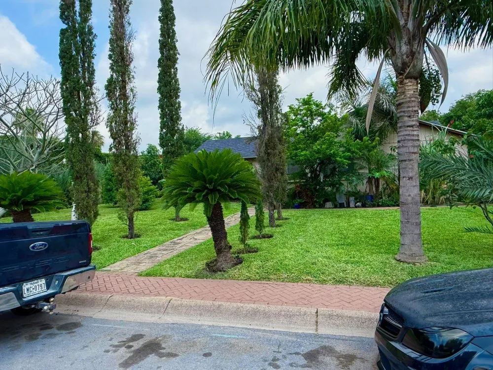 Local residential landscaping for beautiful yards across Brownsville, TX - JIJ Lawn Care