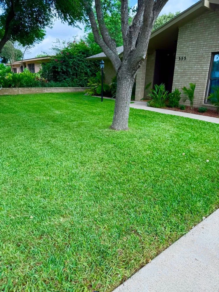 Reliable yard cleanup service for residential properties in Brownsville, TX by JIJ Lawn Care