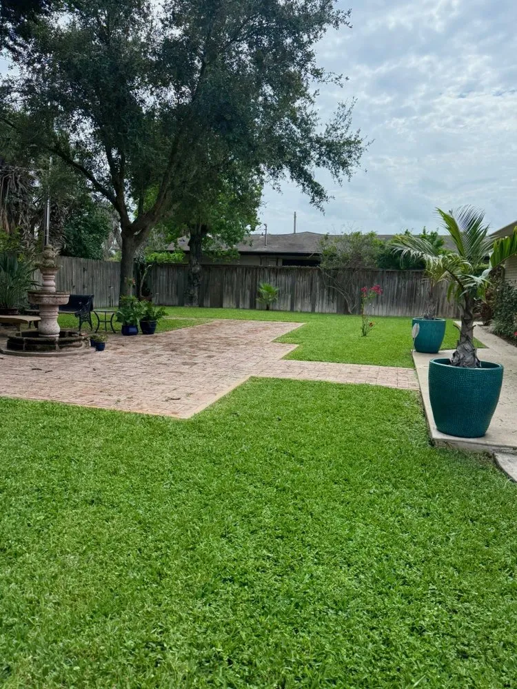 Affordable landscaping services with custom design in Brownsville, TX by JIJ Lawn Care