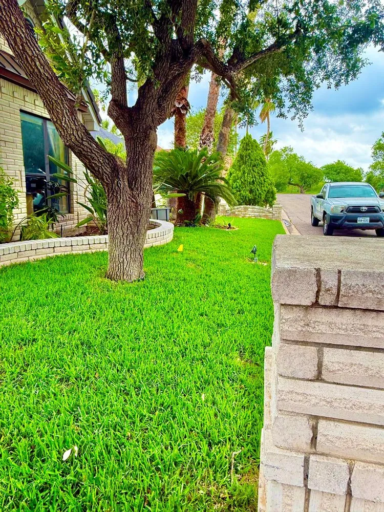 Expert landscaping services for outdoor upgrades across Brownsville, TX - JIJ Lawn Care