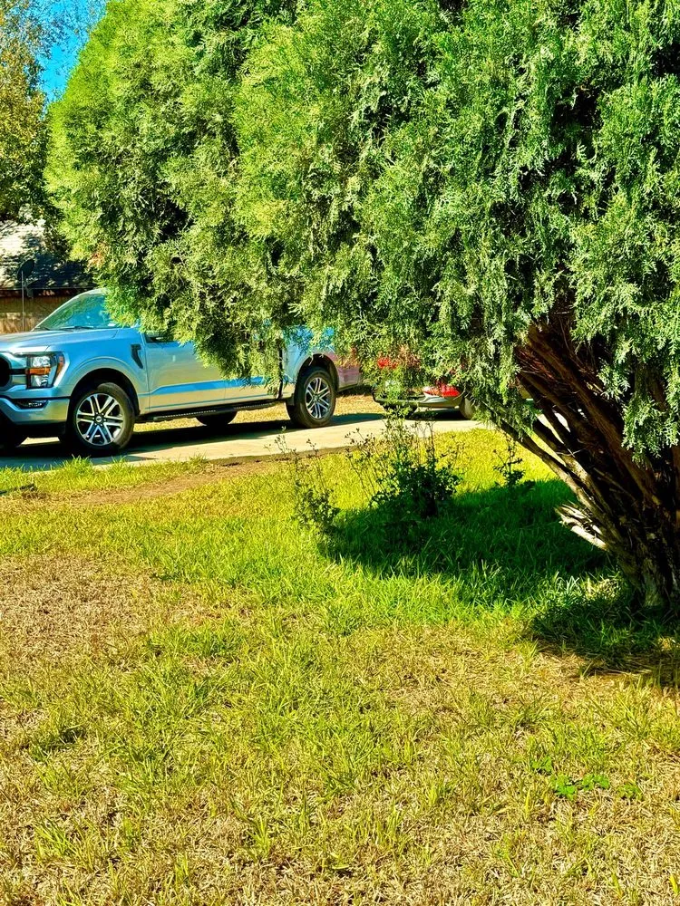 Top-rated landscaping services experts serving Brownsville, TX - JIJ Lawn Care