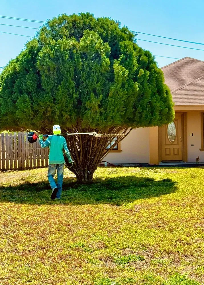 Professional outdoor landscaping for year-round maintenance in Brownsville, TX by JIJ Lawn Care