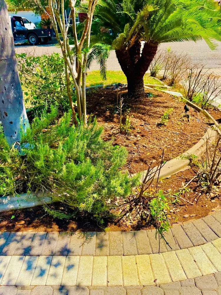 Reliable landscape design experts serving Brownsville, TX - JIJ Lawn Care