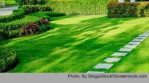 Top-rated landscaping services for year-round maintenance in Lafayette, LA by JIL Lawn Care Service