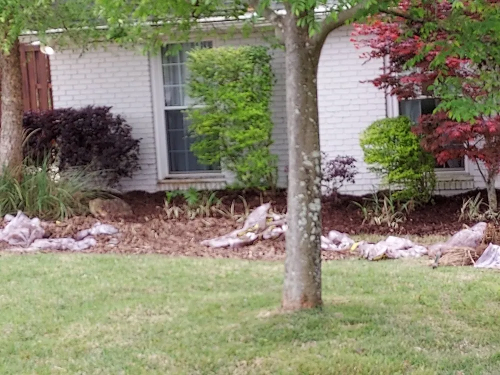 Trusted yard cleanup service near you in Pensacola, FL by Jilesstone limited liability company