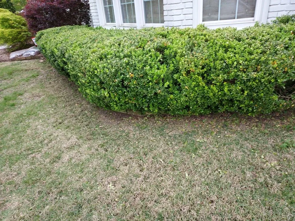 Custom landscape design in Pensacola, FL by Jilesstone limited liability company