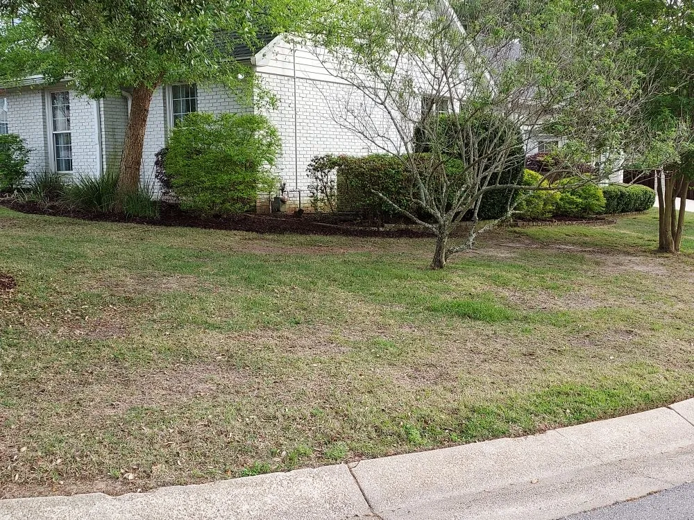 Professional yard maintenance for year-round maintenance in Pensacola, FL by Jilesstone limited liability company