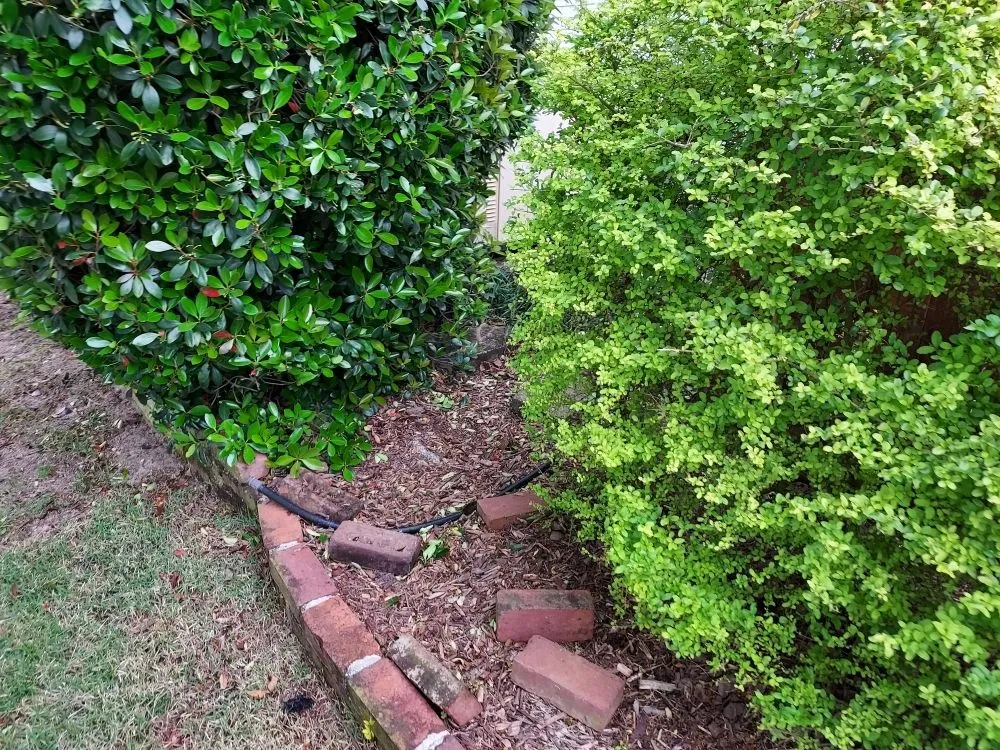 Trusted landscaping services for year-round maintenance in Pensacola, FL by Jilesstone limited liability company
