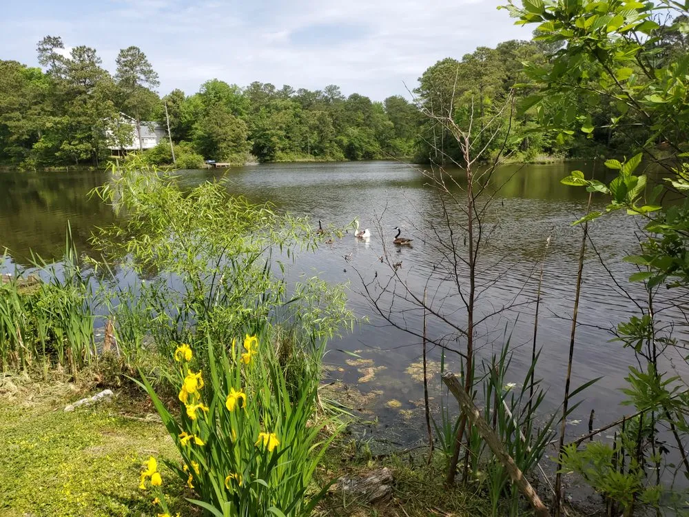 Local residential landscaping experts serving Suffolk, VA - Jill Bory- Coastal Estate Services