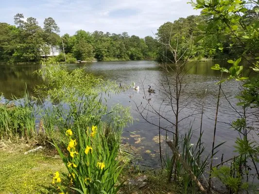 Jill Bory- Coastal Estate Services Logo