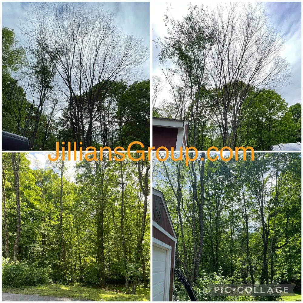 Local garden landscaping with custom design in Poughkeepsie, NY by Jillian's Group