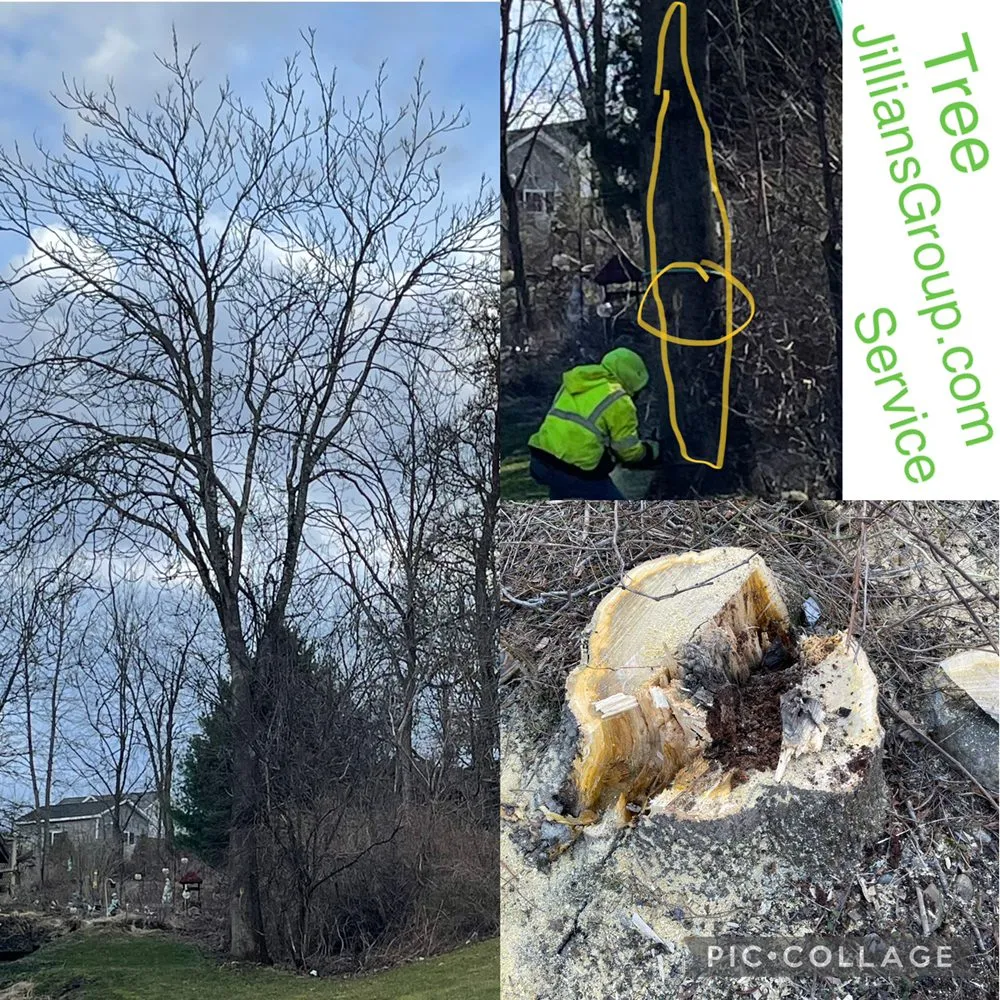 Custom landscape installation experts serving Poughkeepsie, NY - Jillian's Group