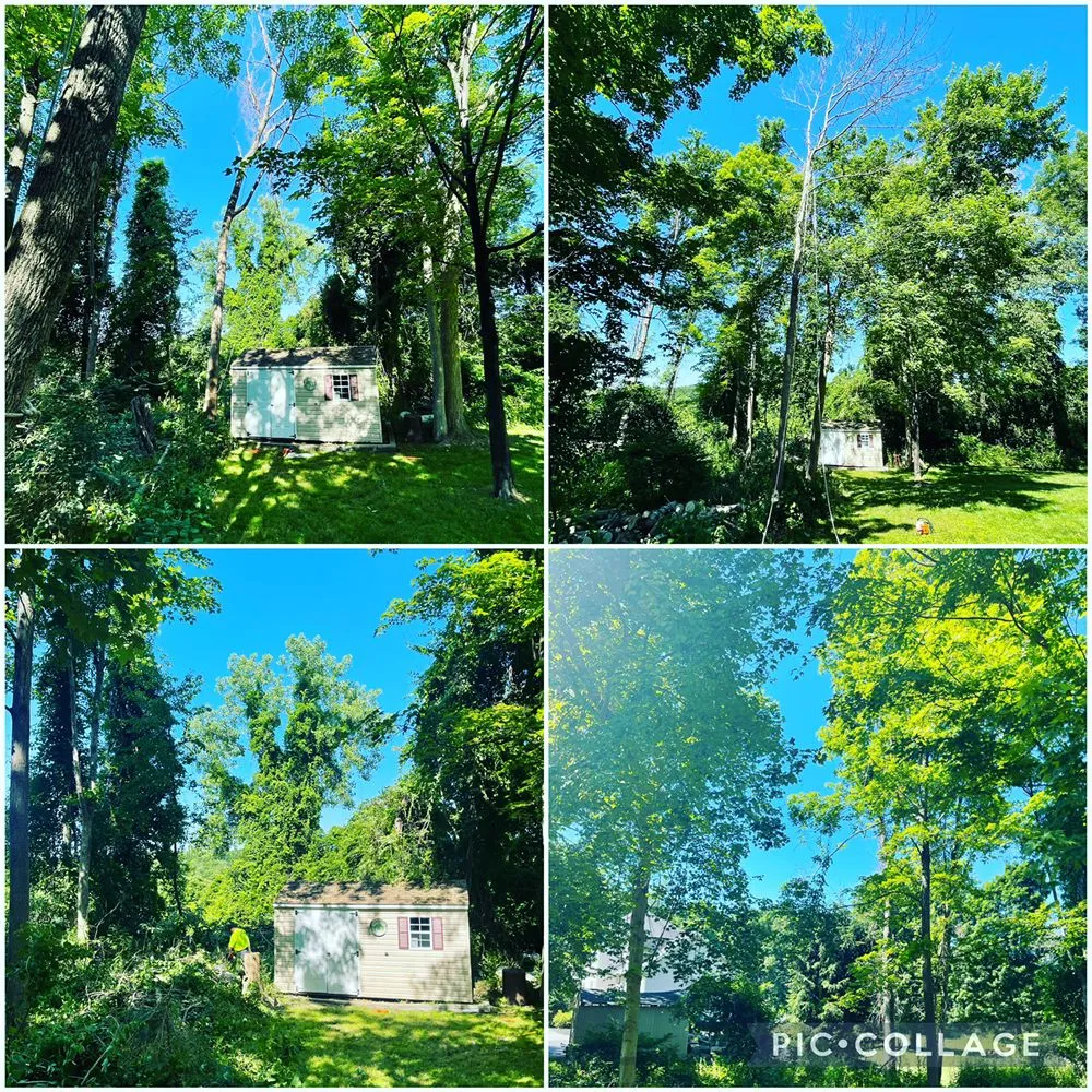 Local landscape design in Poughkeepsie, NY by Jillian's Group