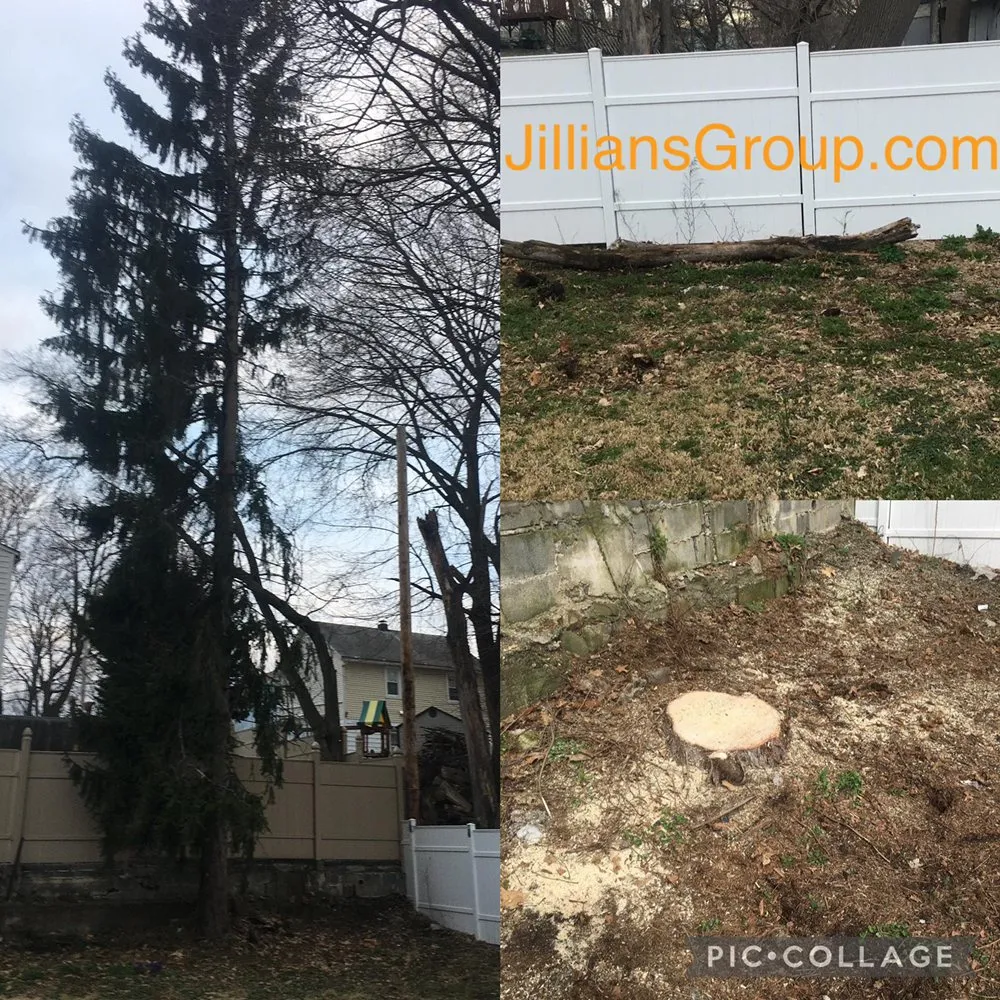 Professional lawn care service in Poughkeepsie, NY - Jillian's Group