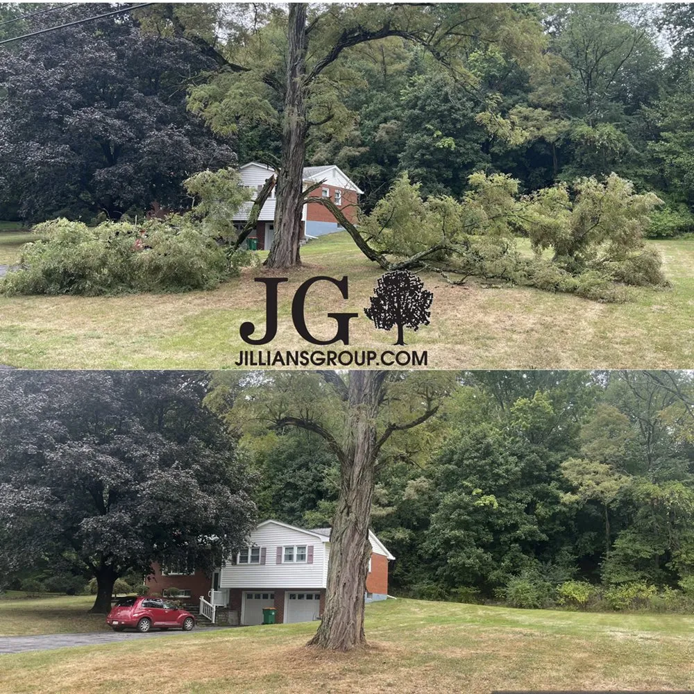 Trusted yard maintenance experts serving Poughkeepsie, NY - Jillian's Group