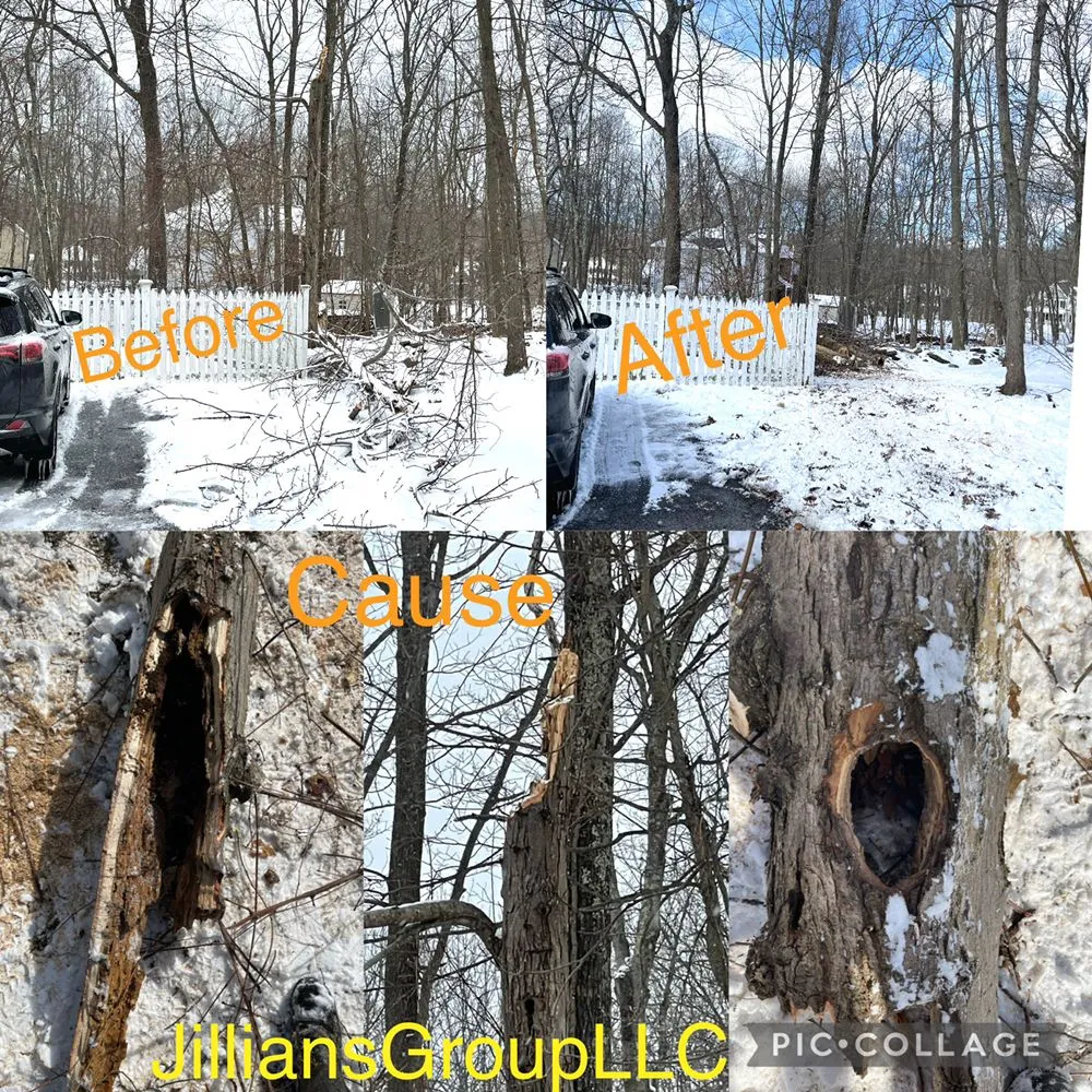 Top-rated landscape design experts serving Poughkeepsie, NY - Jillian's Group