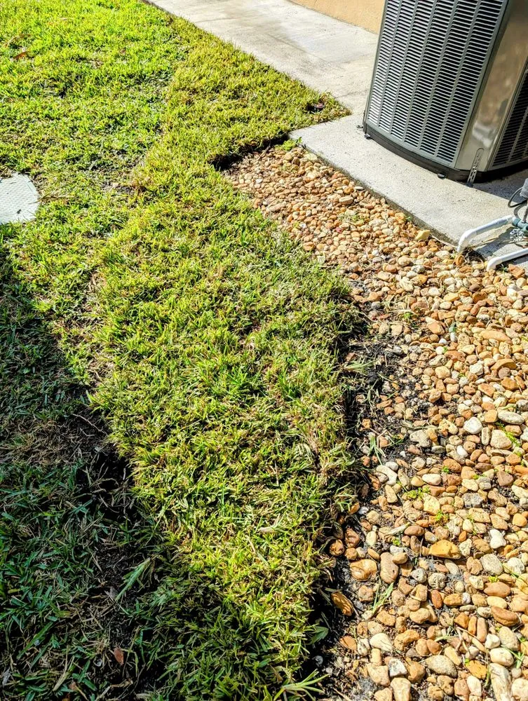 Custom yard cleanup service for residential properties in Fort Myers, FL by Jim Becker and Sons