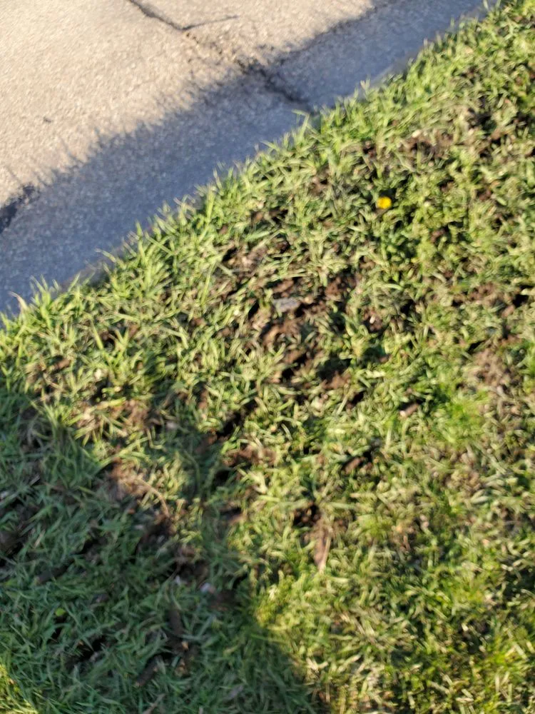 Trusted lawn care service in Hiawatha, IA - Jim Bob's Lawn Care