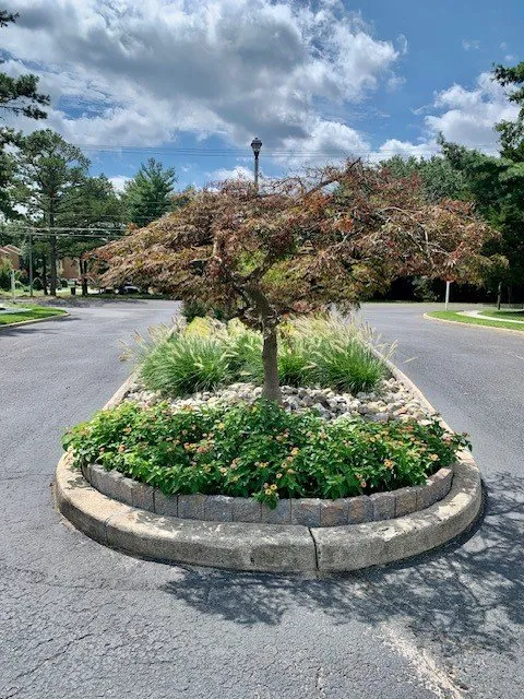 Affordable lawn care service in Delran, NJ - Jim Dunphy's Landscaping