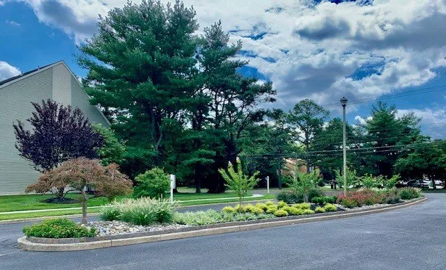 Professional yard cleanup service for homes in Delran, NJ by Jim Dunphy's Landscaping