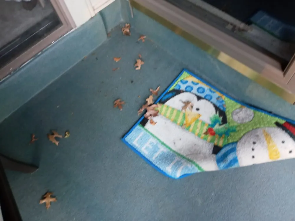 Custom landscape installation for outdoor upgrades in Delran, NJ by Jim Dunphy's Landscaping