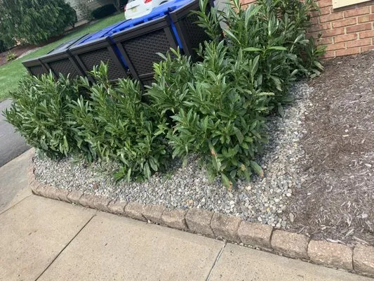 Jim Dunphy's Landscaping