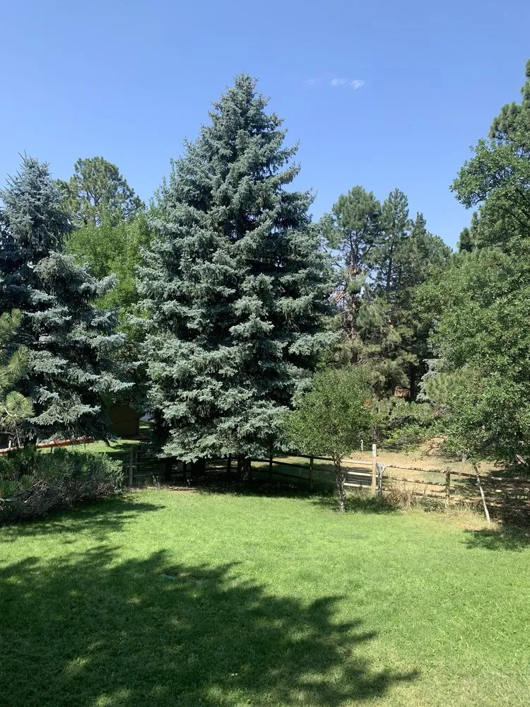 Expert landscaping services experts serving Parker, CO - Jim McGannon -Landscape Consultant