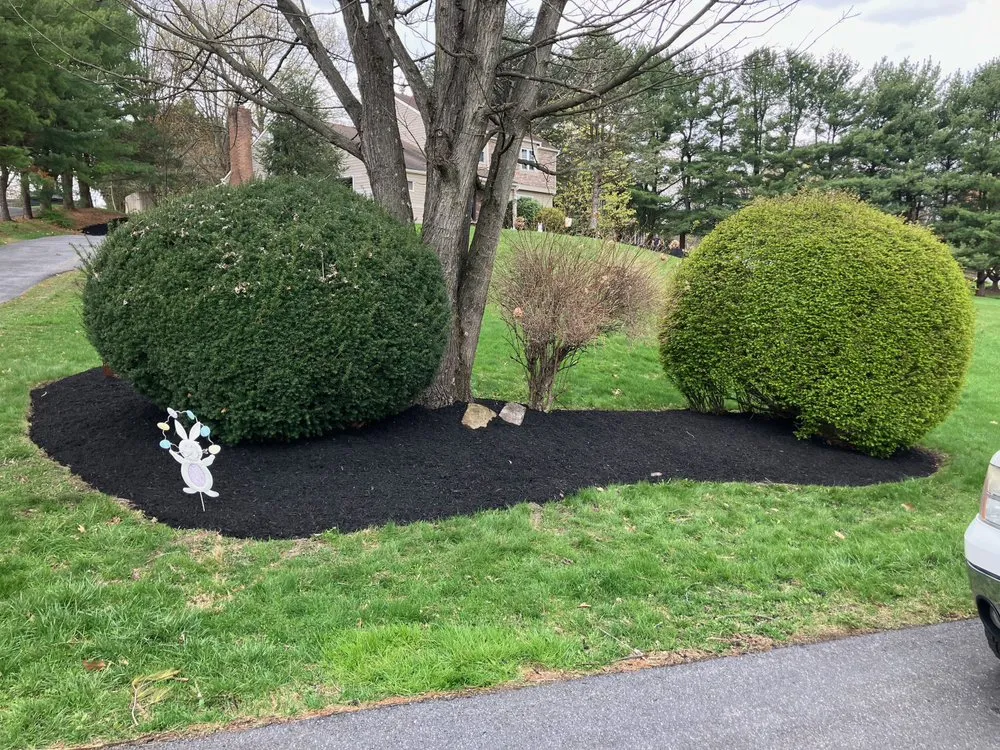 Reliable landscaping services experts serving Annville, PA - Jim Shreve’s Landscaping
