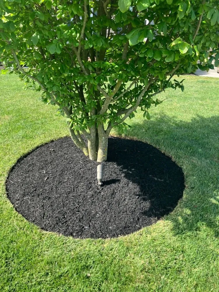 Local lawn care service in Annville, PA - Jim Shreve’s Landscaping