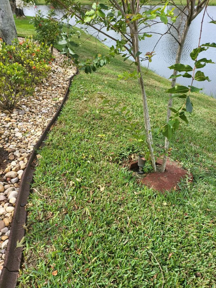 Professional lawn care service in Clearwater, FL - Jim Simmons Lawn Care & Landscaping