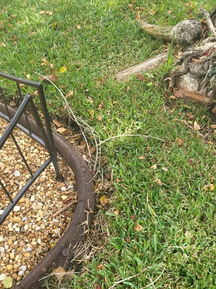 Professional outdoor landscaping in Clearwater, FL by Jim Simmons Lawn Care & Landscaping