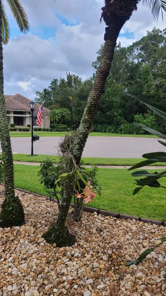 Affordable landscaping services for beautiful yards in Clearwater, FL by Jim Simmons Lawn Care & Landscaping