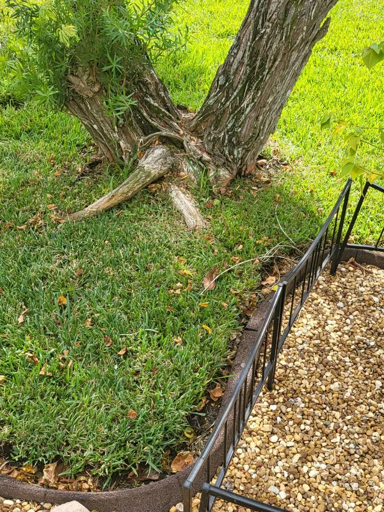 Professional landscaping services for outdoor upgrades across Clearwater, FL - Jim Simmons Lawn Care & Landscaping