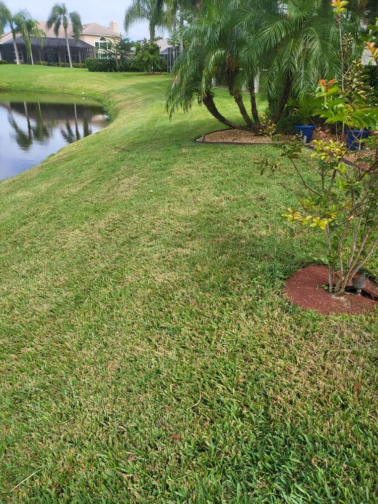 Custom lawn care service in Clearwater, FL - Jim Simmons Lawn Care & Landscaping