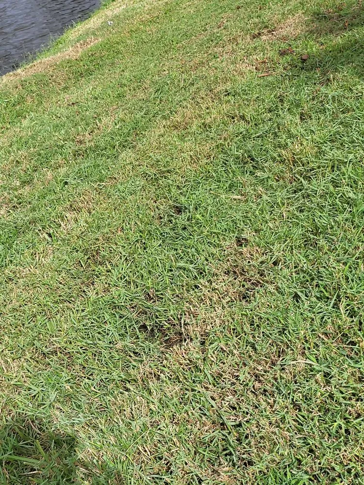 Custom landscaping services for residential properties in Clearwater, FL by Jim Simmons Lawn Care & Landscaping