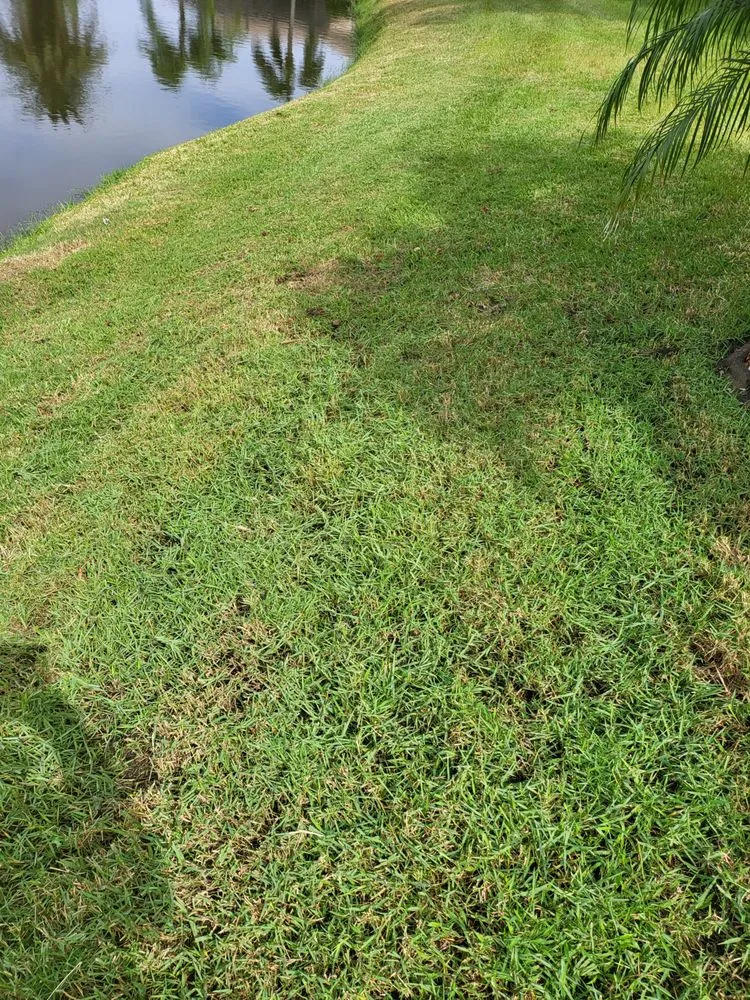 Affordable lawn mowing service experts serving Clearwater, FL - Jim Simmons Lawn Care & Landscaping