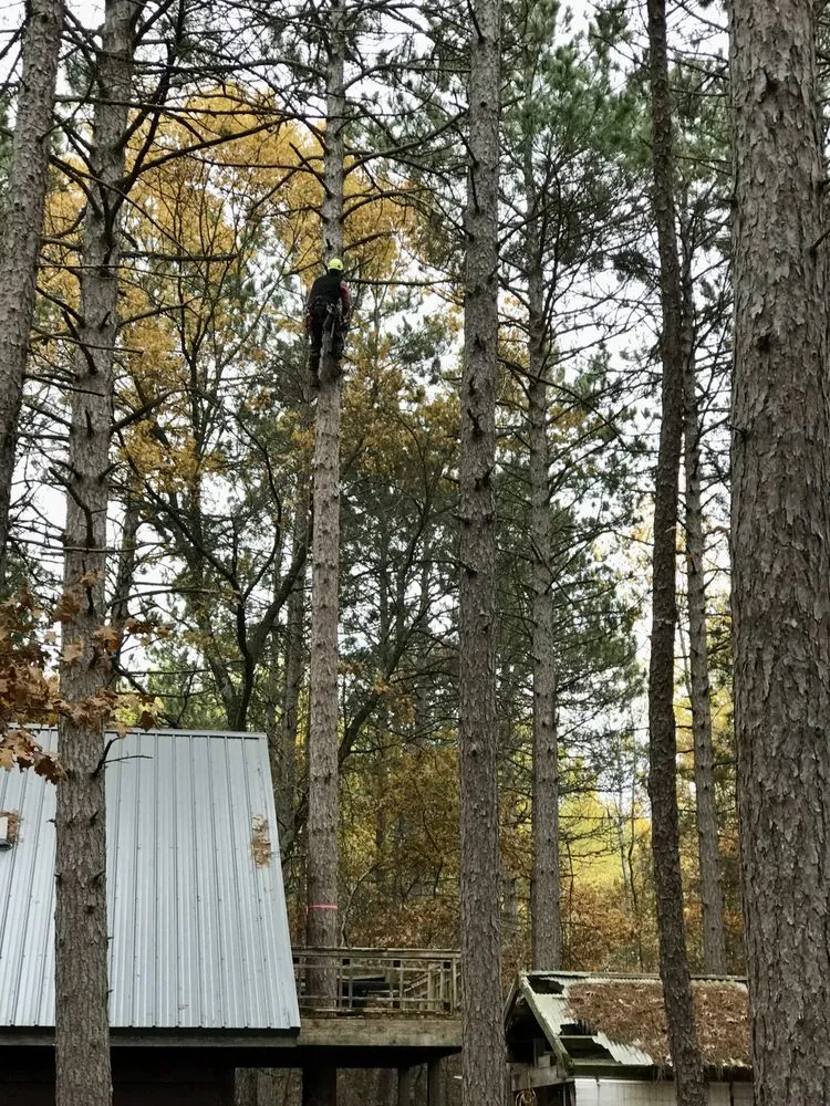 Custom landscape design for beautiful yards in Champlin, MN by Jim Steele Tree Maintenance
