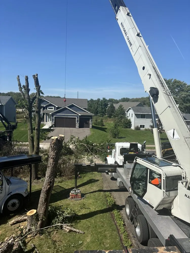 Expert outdoor landscaping for homes in Champlin, MN by Jim Steele Tree Maintenance