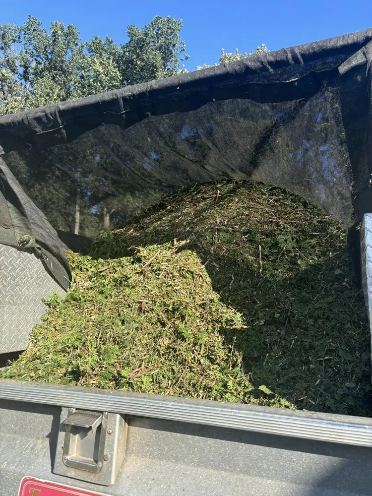 Affordable yard maintenance for outdoor upgrades in Champlin, MN by Jim Steele Tree Maintenance