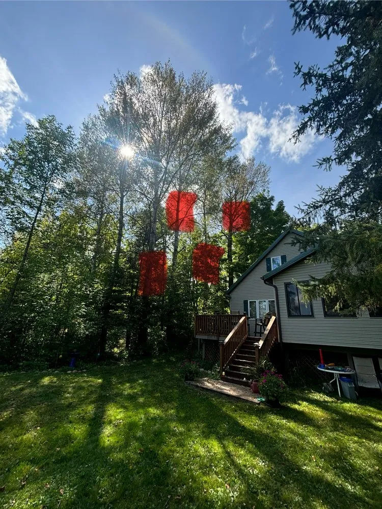 Local residential landscaping with custom design across Champlin, MN - Jim Steele Tree Maintenance