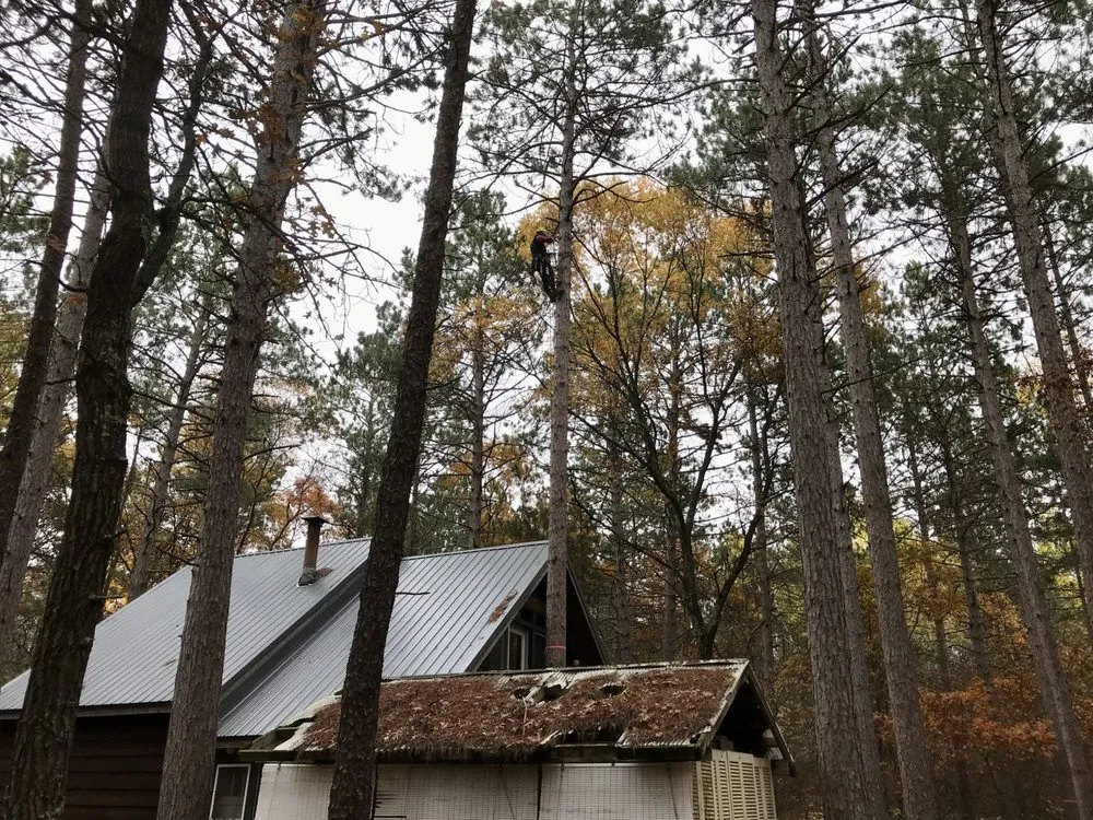 Local residential landscaping experts serving Champlin, MN - Jim Steele Tree Maintenance