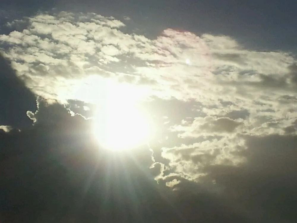 Top-rated yard maintenance in Exeter, CA - Jim Tyler Construction and Solar