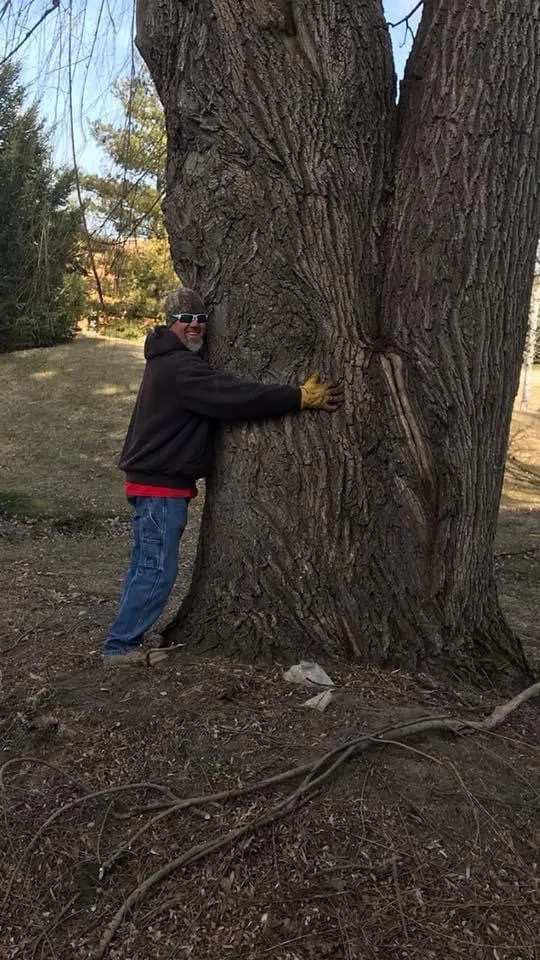 Custom garden landscaping in Elgin, IL by Jim Verhaeghe & Sons Landscaping