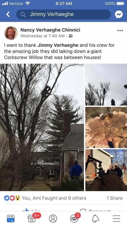 Local yard maintenance experts serving Elgin, IL - Jim Verhaeghe & Sons Landscaping