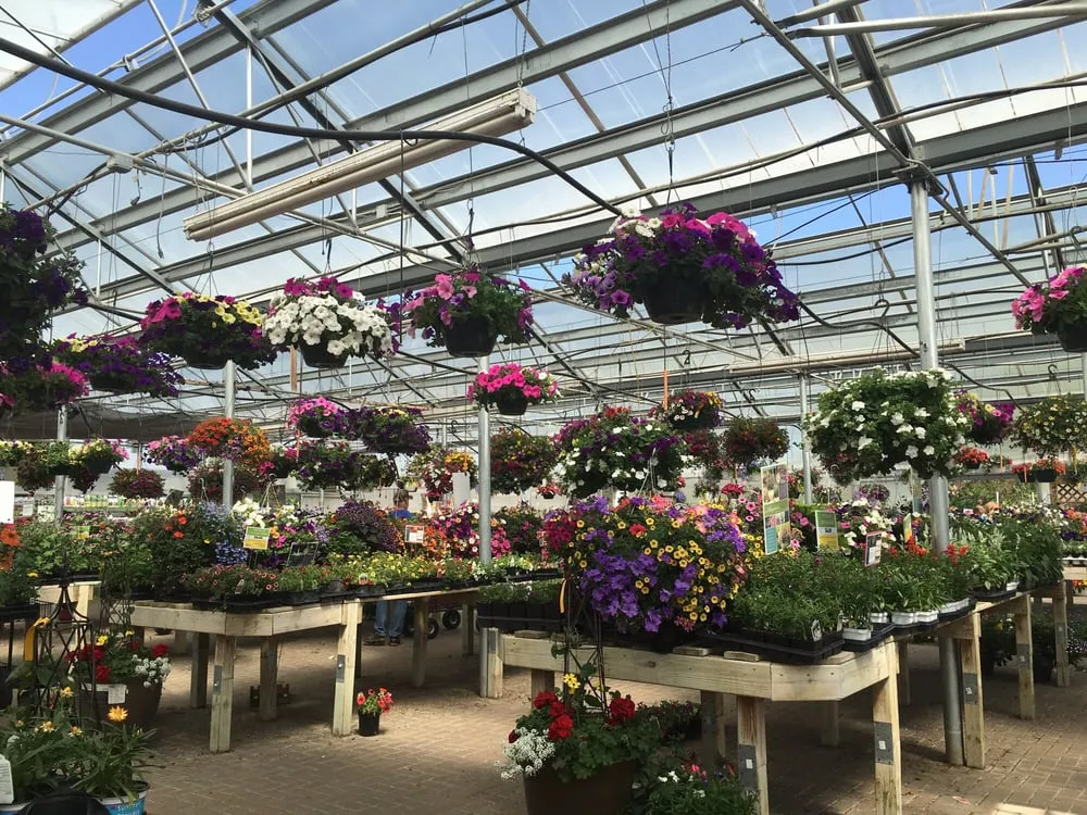 Trusted landscaping services experts serving Rochester, MN - Jim Whiting Nursery & Garden Center