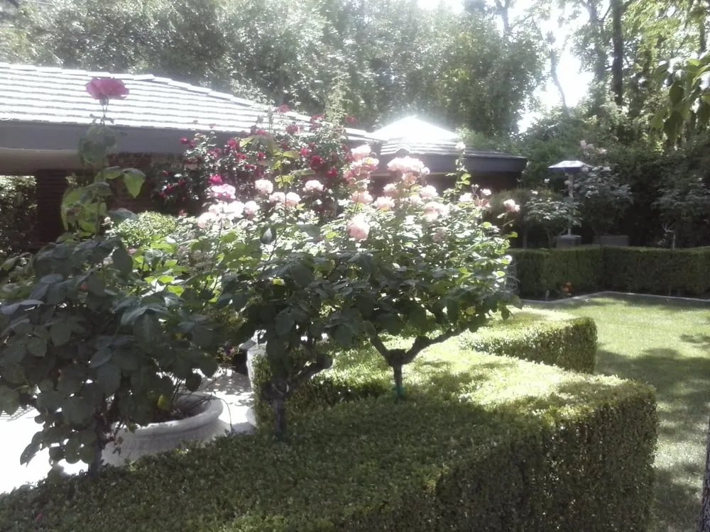Local residential landscaping for residential properties across Bakersfield, CA - Jim Woodson Gardening Services
