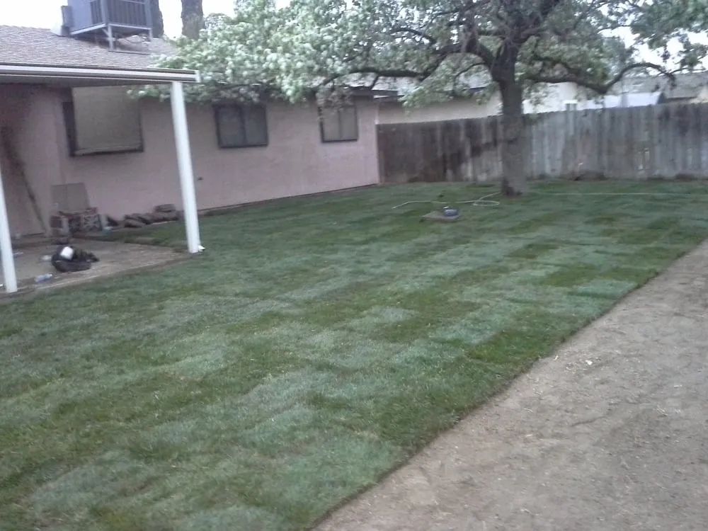 Affordable lawn mowing service for outdoor upgrades in Bakersfield, CA by Jim Woodson Gardening Services