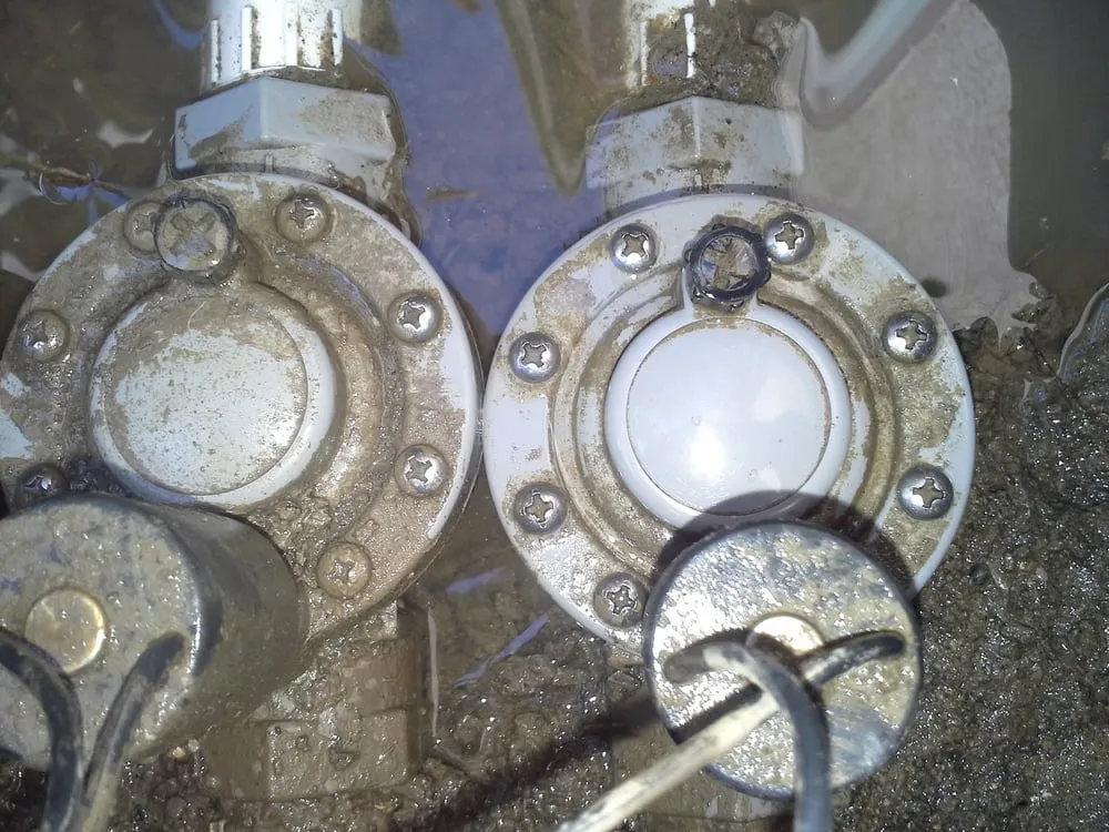 Professional lawn care service in Bakersfield, CA by Jim Woodson Gardening Services