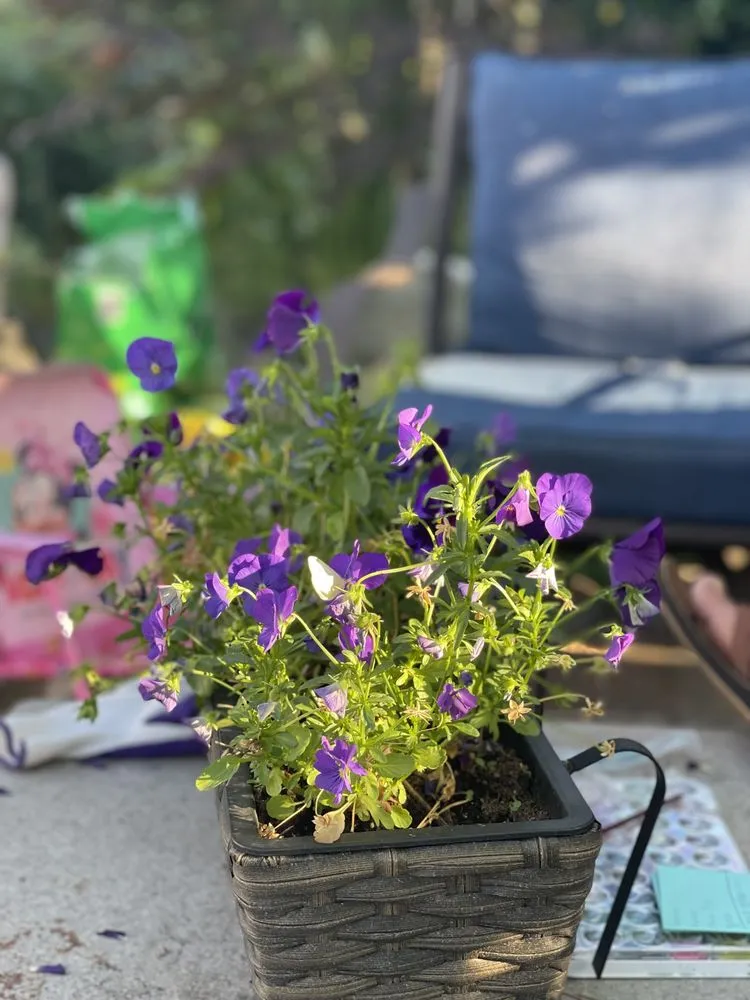 Affordable landscape design in Seattle, WA - Jimay Landscaping And Cleaning Services