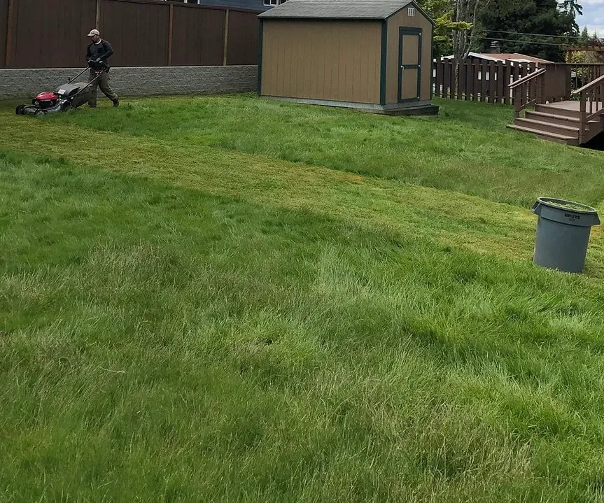 Trusted outdoor landscaping in Seattle, WA - Jimay Landscaping And Cleaning Services